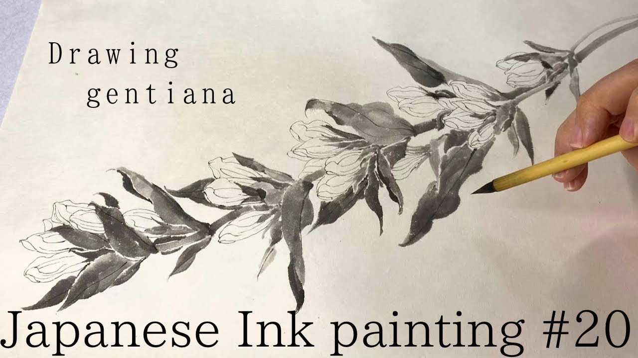 水墨画/白描画:Japanese Ink painting/Suibokuga/Sumie      #20 Gentiana