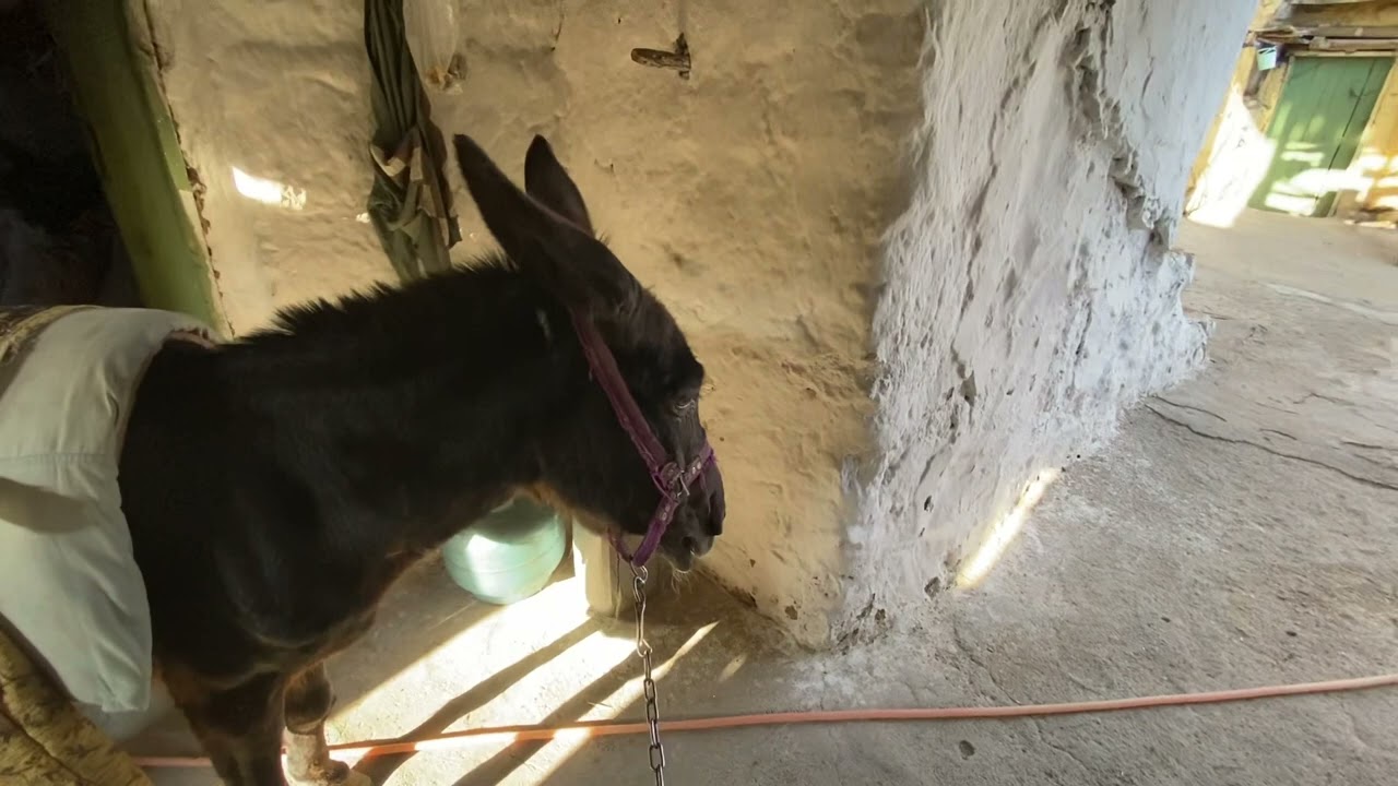 Kayseri develi incesu köyü