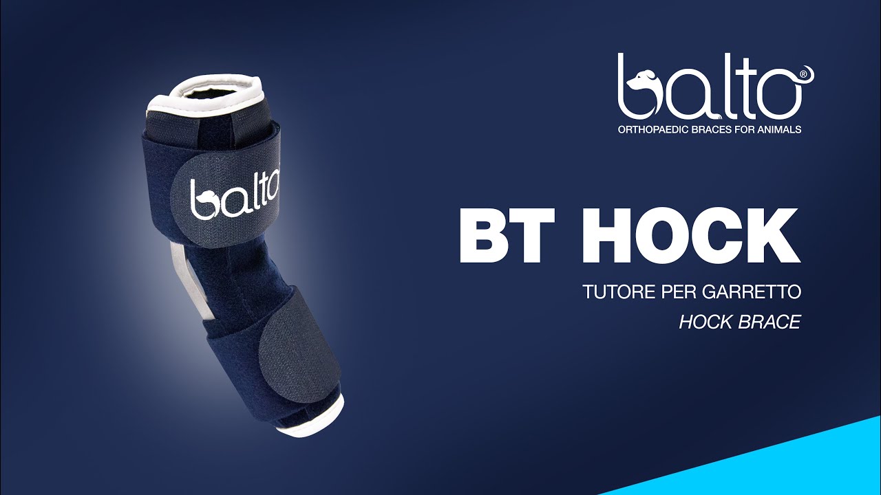 BT HOCK - TUTORE PER GARRETTO – HOCK BRACE