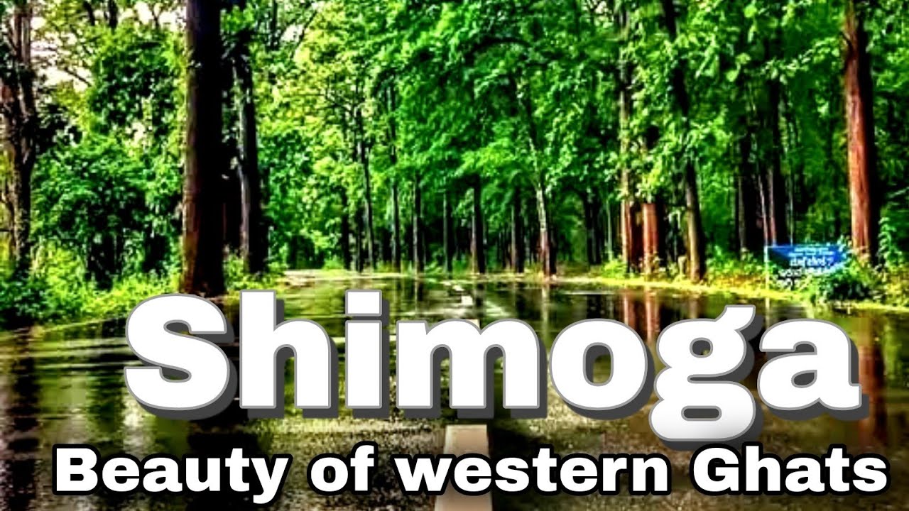 Sagar to Bangalore Road trip Via Shivamogga - Scenic Drive - Kia Sonet - Best Road to Drive 🏞️