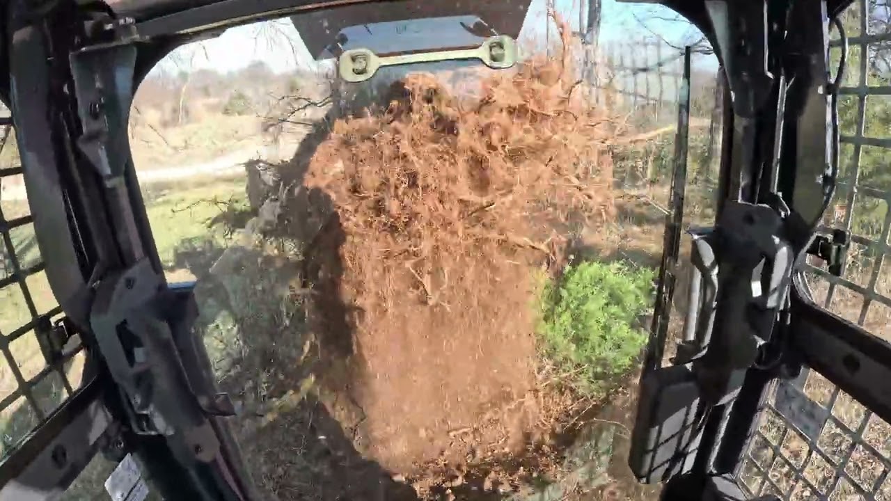 Ripping Up Trees With The Danuser Intimidator and SVL 75-3!!!