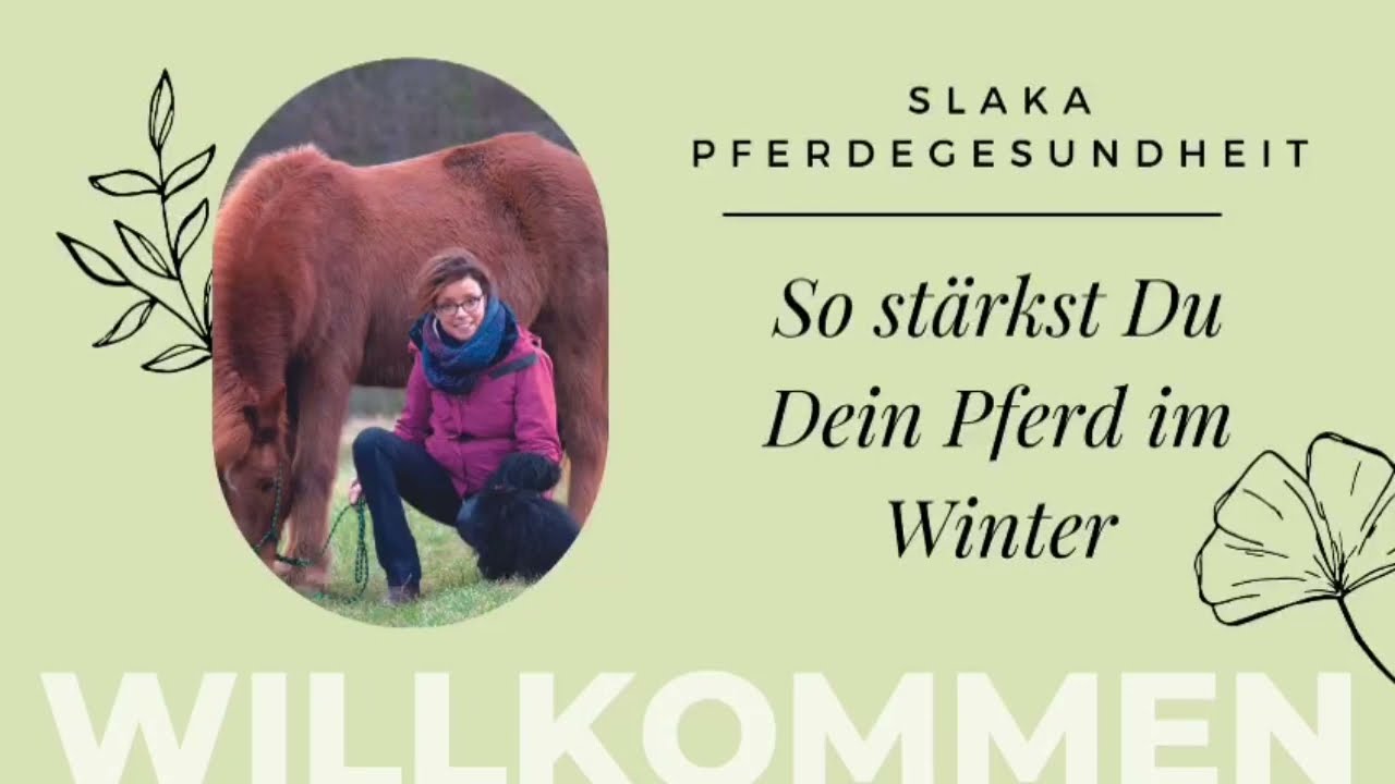 Wie Du Dein Pferd im Winter stärken kannst