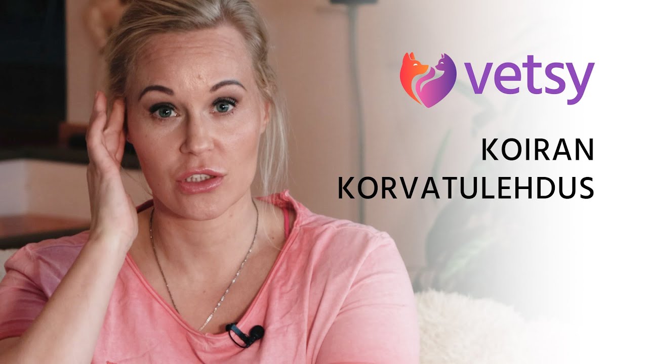 Vetsy | Koiran korvatulehdus