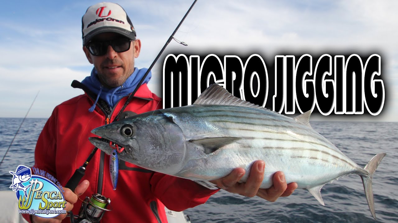 Variedad de capturas a MICRO JIGGING