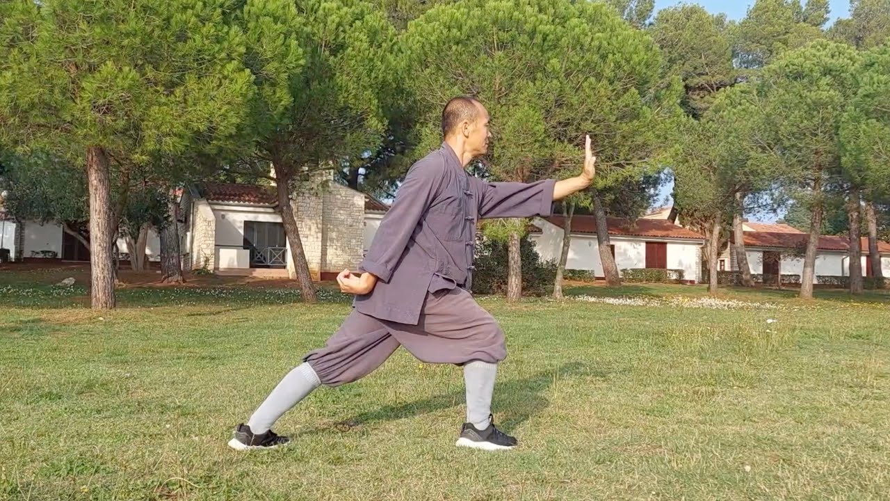 Shaolin Kung Fu Class 12: Lian Huan Quan