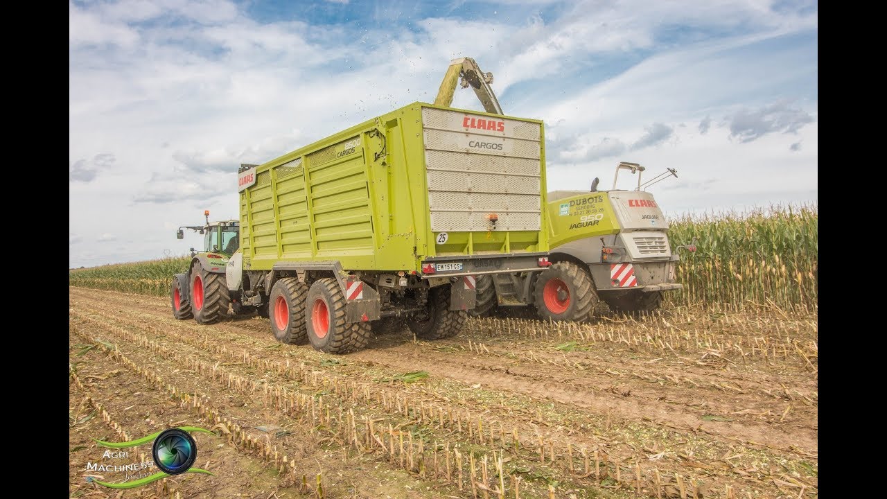 Ensilage de maïs 2017 | Claas JAGUAR 950 orbis 600 ETS DUBOIS