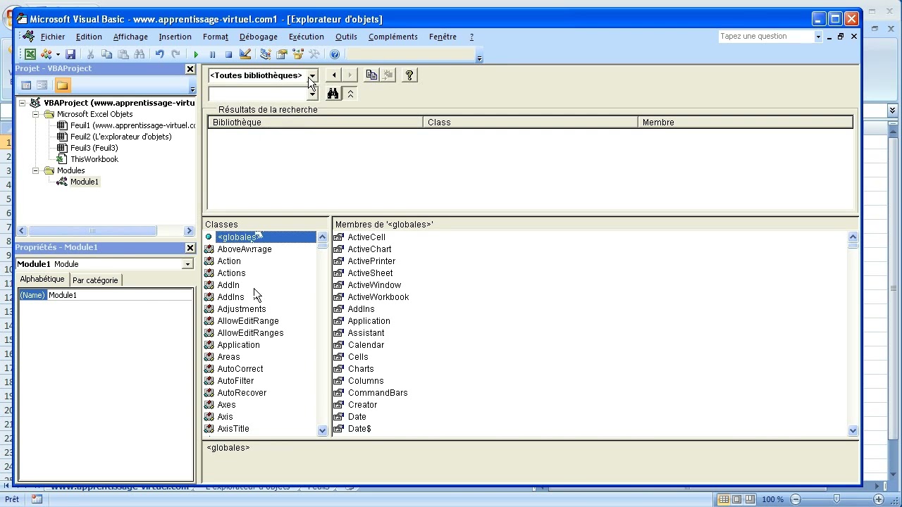 VBA Excel : Tout savoir sur l'Explorateur d'Objets (Guide Complet 1/2)