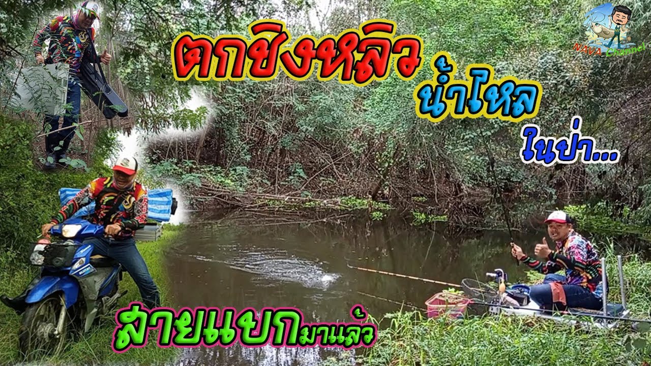 EP130 ตกปลาหมายธรรมชาติ ตกชิงหลิวคลองสาขาแม่น้ำป่าสัก จ.ลพบุรี 