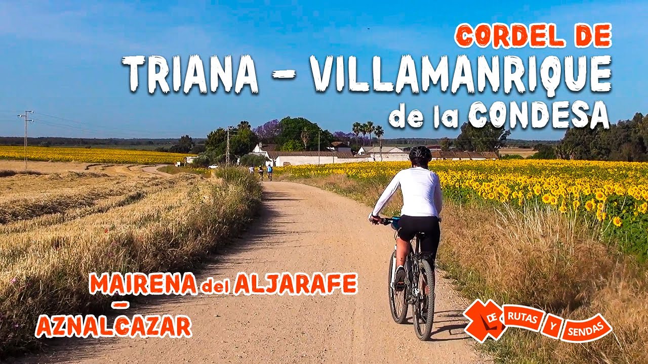Cordel Triana a Villamanrique | Mairena del Aljarafe · Aznalcázar #mtb