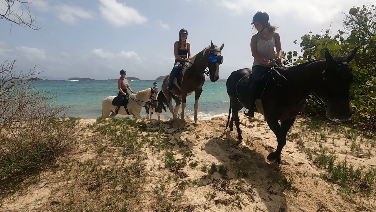 Mustique 2021