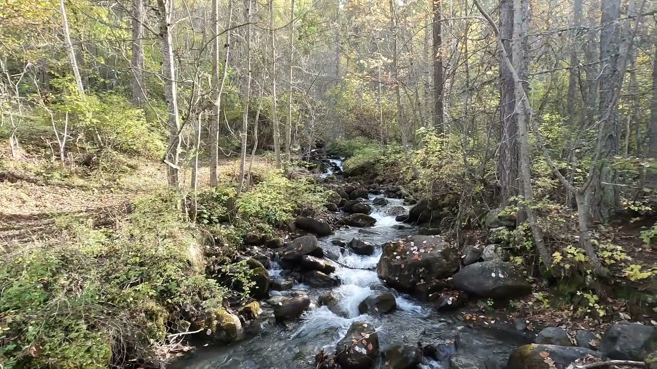 Marche silencieuse vers la cascade de la Pissette,  Vallouise 2021.
