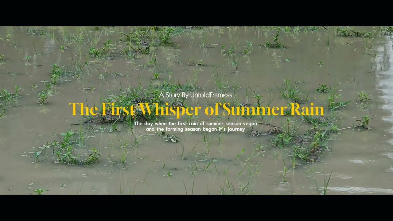 “The first whisper of Summer rain” - Shot on Realme 12 pro + | A Short Story by UntoldFramess 🎥