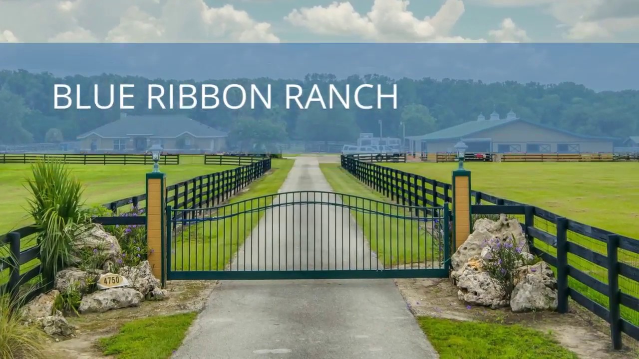 Blue Ribbon Ranch 4750 NW 120th St Reddick, FL 32686 Horse Farm for Sale