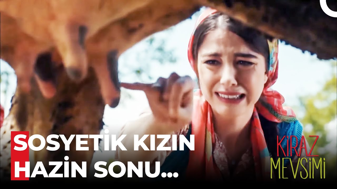 Öykü ve Ayaz'ın En Komik Sahneleri #27 - Kiraz Mevsimi