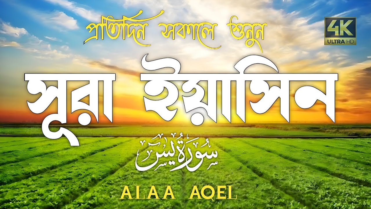 প্রতিদিন সকালে শুনুন-প্রশান্তিময় কণ্ঠে সূরা ইয়াসীন|(سورة يس) SURAH YASIN |Morning Quran Racitation