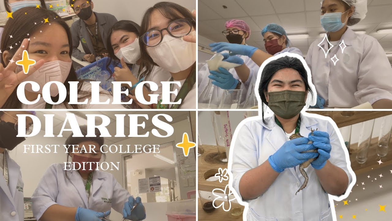SC’s College Diaries: a glimpse of our second semester ₊‧°𐐪♡𐑂°‧₊
