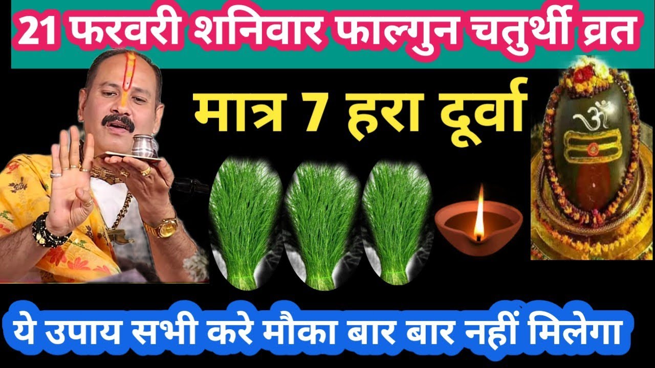21 फरवरी शनिवार फाल्गुन चतुर्थी व्रत मात्र 7 हरा दूर्वा उपाय #shanivar#chaturthi#upay#pradeepmishra