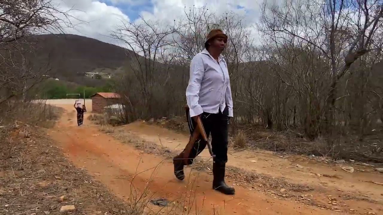 Vidas Secas - O caminho dos retirantes 