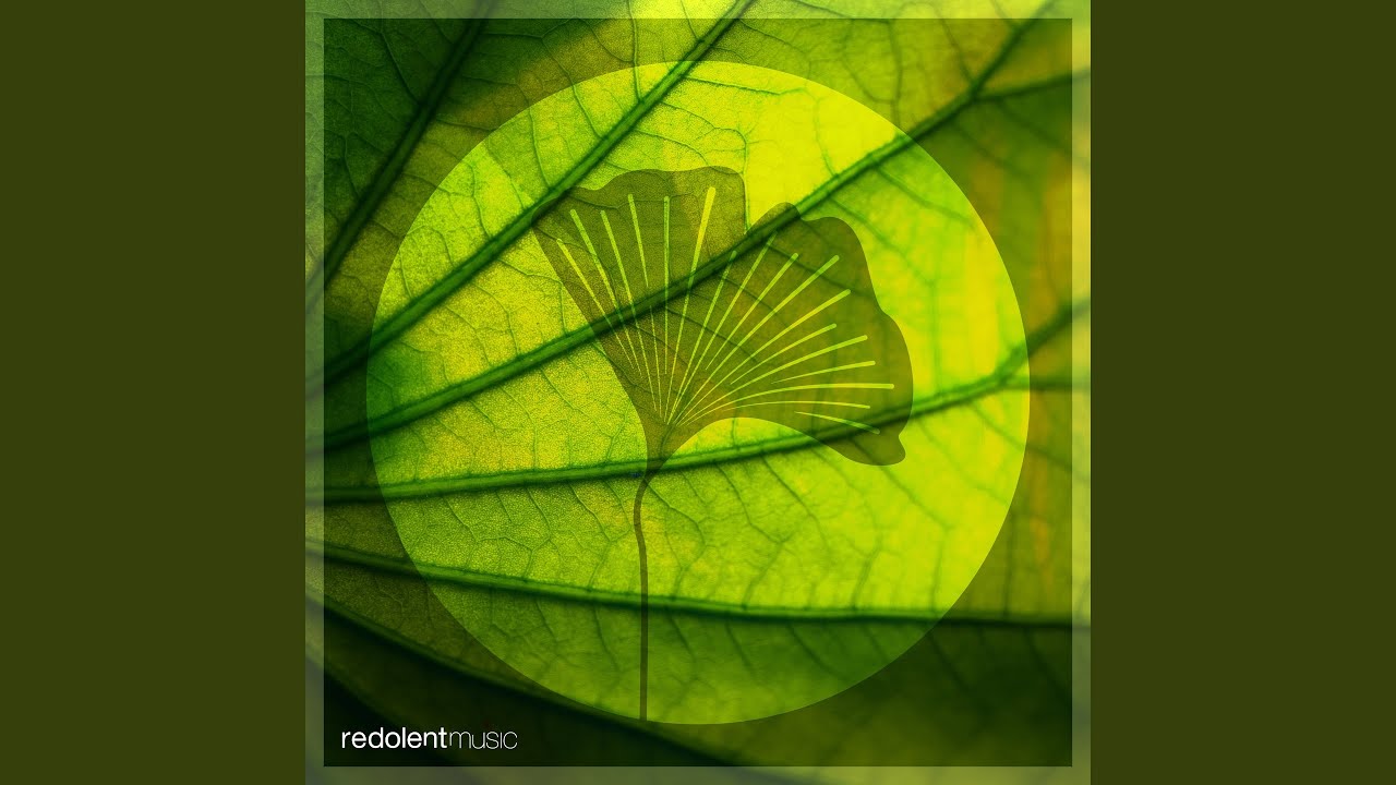 Teardrop (feat. Aminu) (Dimo (Bg) Extended Remix)