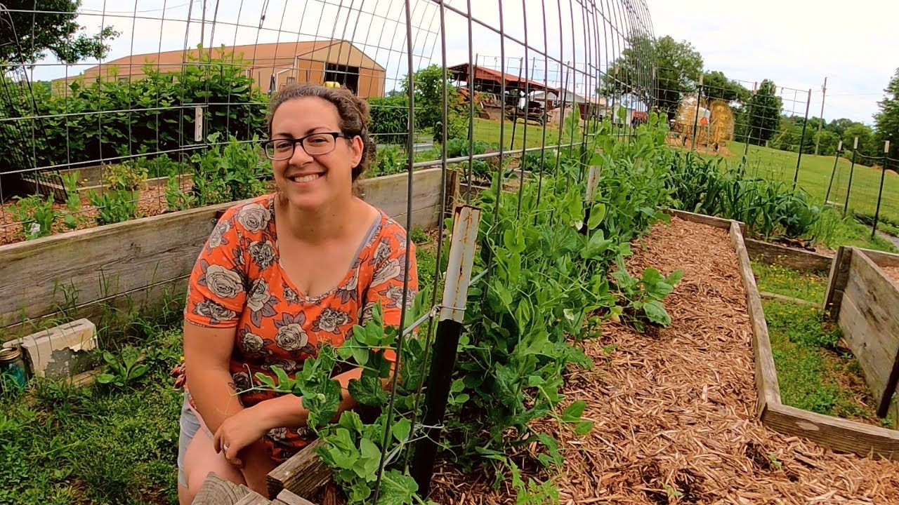 Full Spring Garden & Greenhouse Tour: Zone 7B | Week 1
