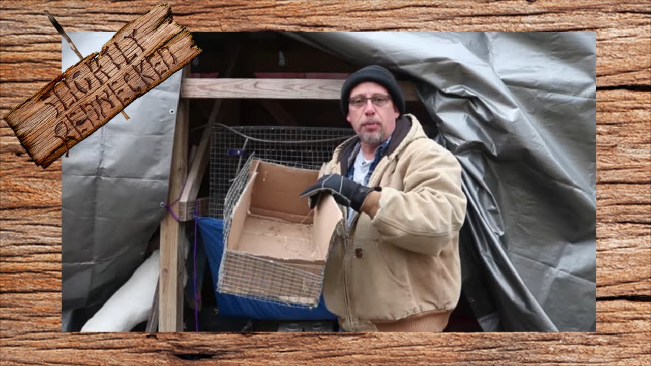 Preparing for Baby Rabbits In Freezing Temperatures