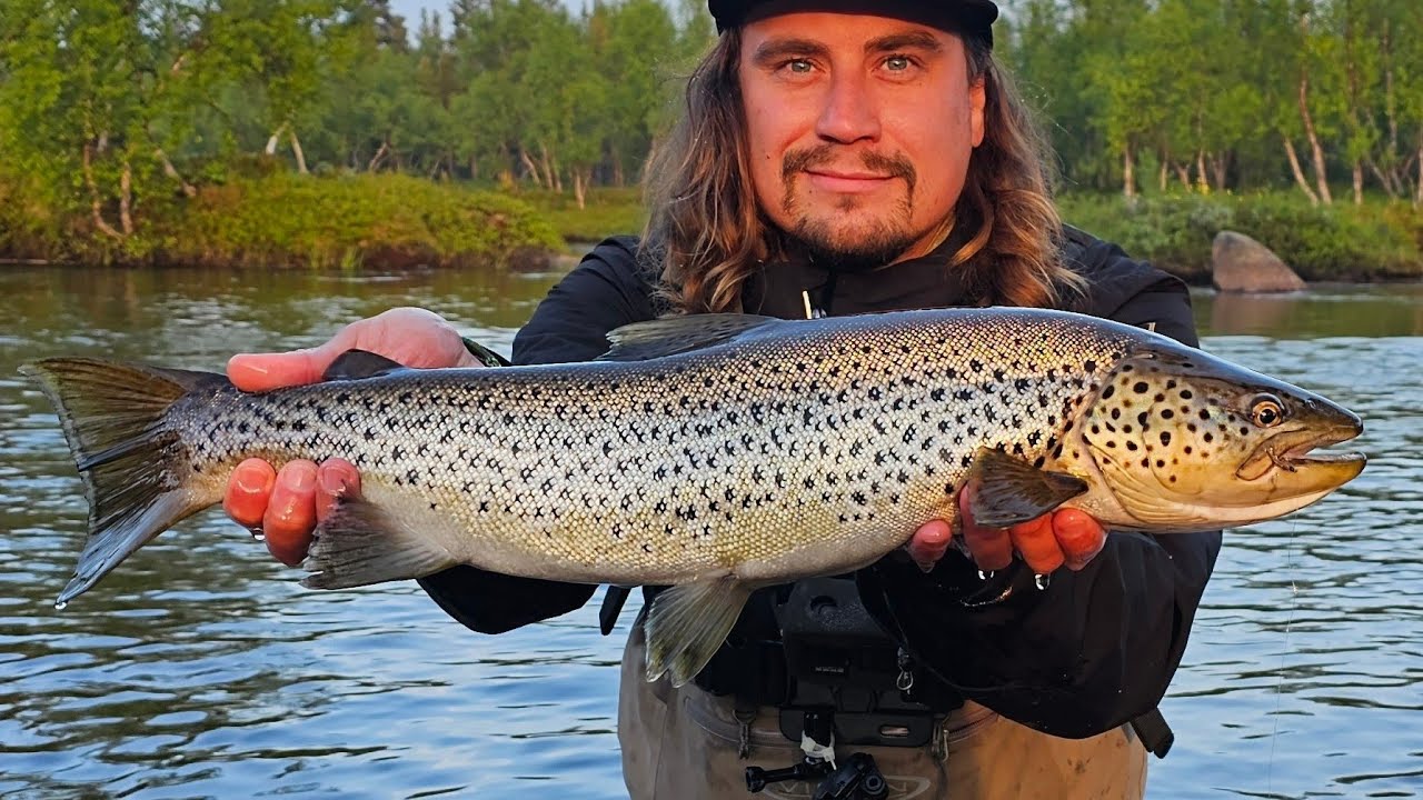 KAAMASJOEN JÄTTITAIMEN | KALASTUSTA INARISSA