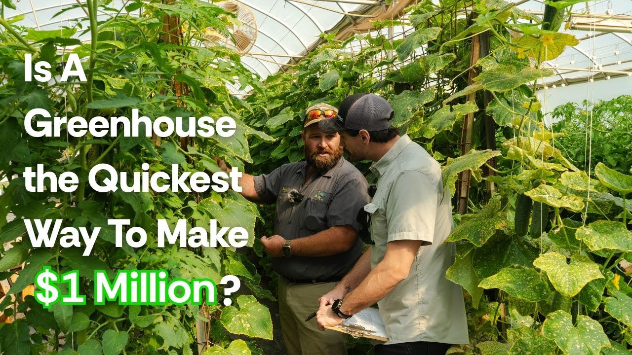 Tour a Tomato Greenhouse - How Tomatoes Are Pollinated