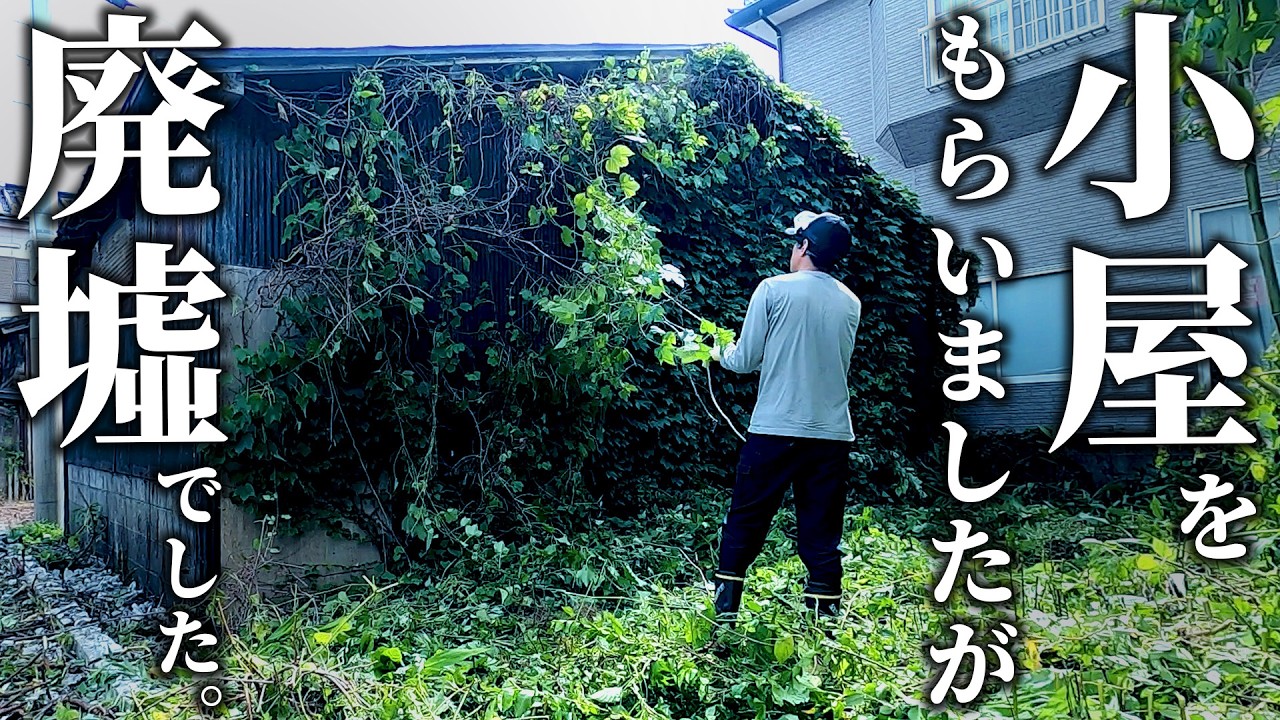 小屋をもらいました。だけど、廃墟でした。素人がDIYで直します。 第01話【番外編：ジャングルと化した小屋】