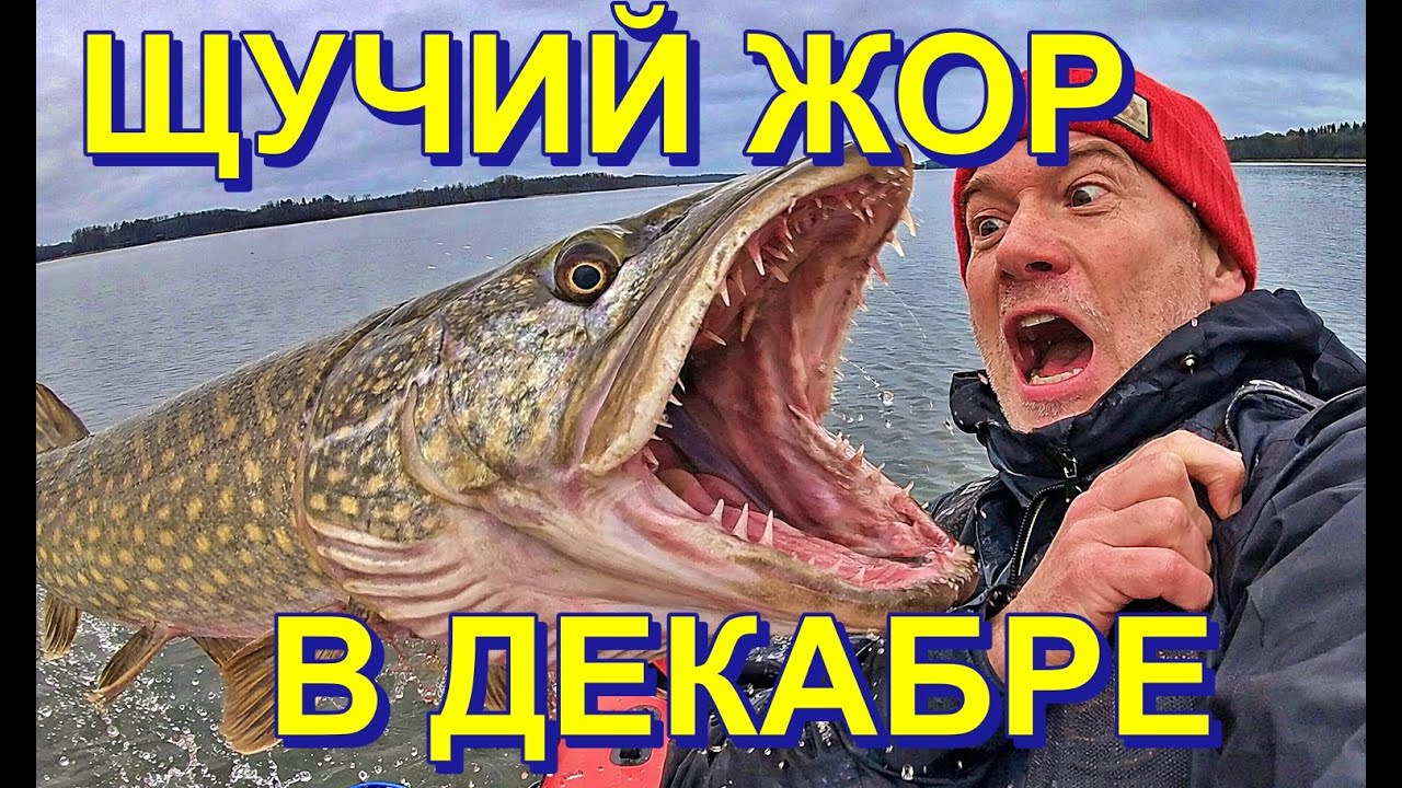 Жор крупных щук в Финляндии в декабре: супер рыбалка года!