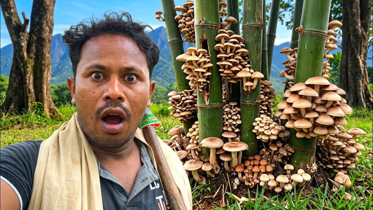 Bamboo Mushroom | Wild Mushroom Odisha Junglee Mushroom 