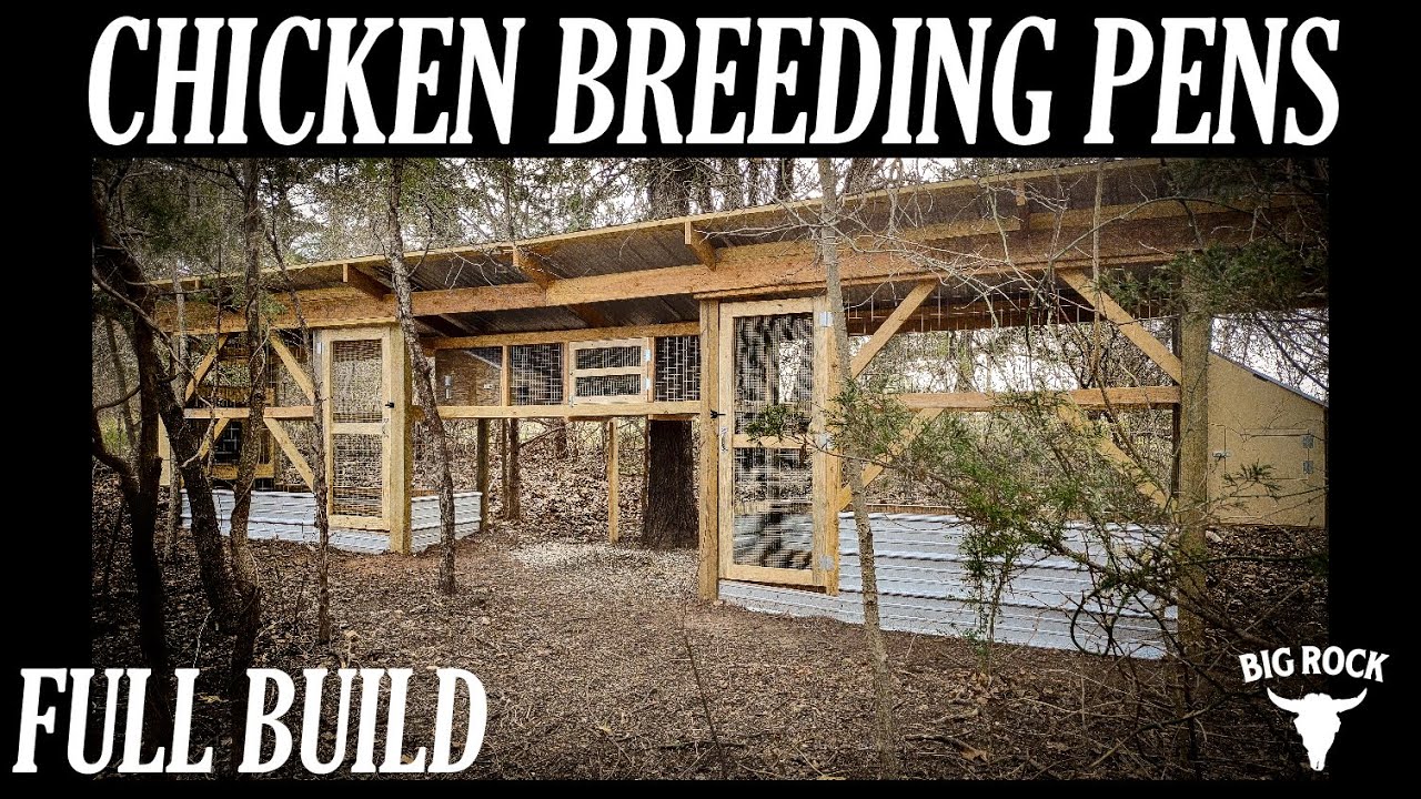 Chicken Breeding Pens