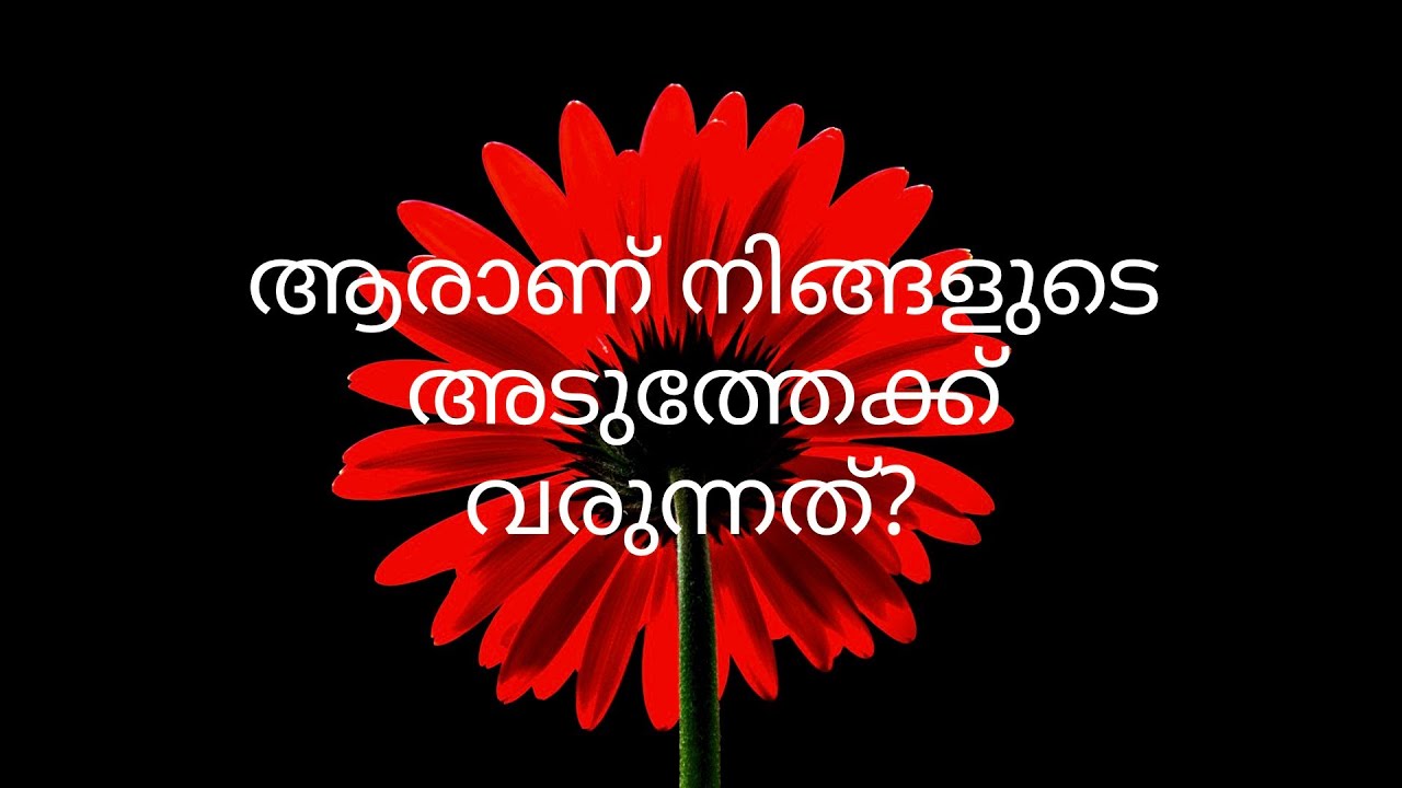 ആരാണ് നിങ്ങളുടെ അടുത്തേക്ക് വരുന്നത്? 