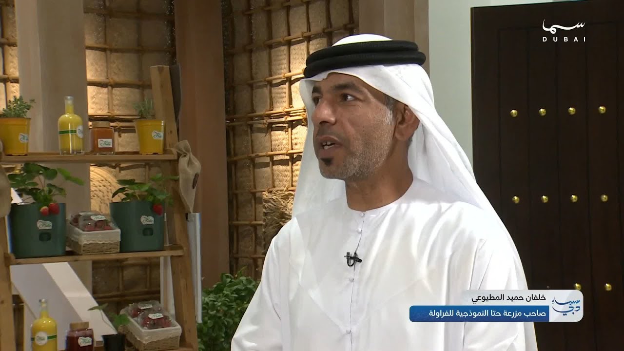 خلفان حميد المطيوعي  صاحب مزرعة حتا النموذجية للفراولة