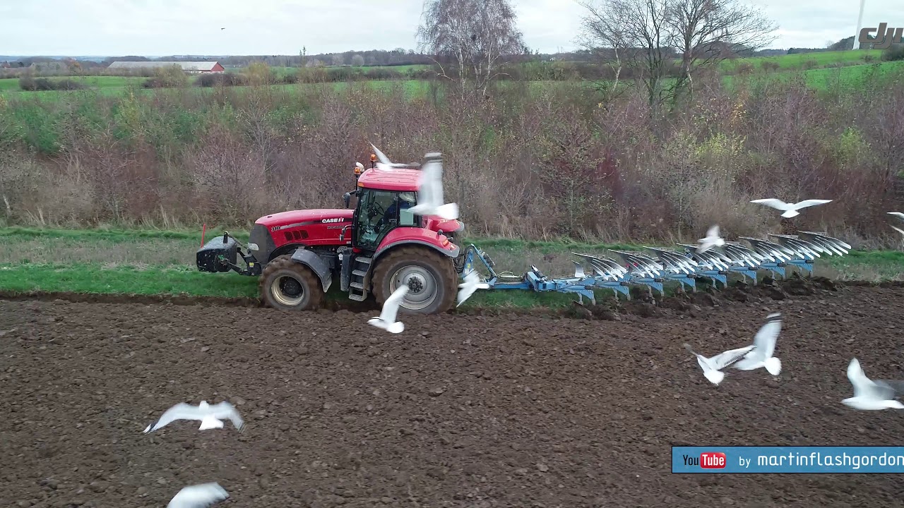 Orka przedzimowa - ziębla | 42ha Lemken variable