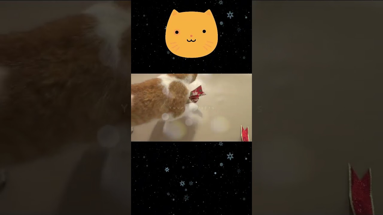 CONTROL DE CALIDAD GATUNO - YuureYCrafts #shorts #youtubeshorts