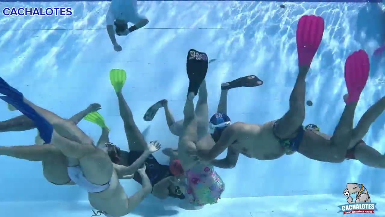 14 de Febrero de 2026 Entrenamiento CACHALOTES