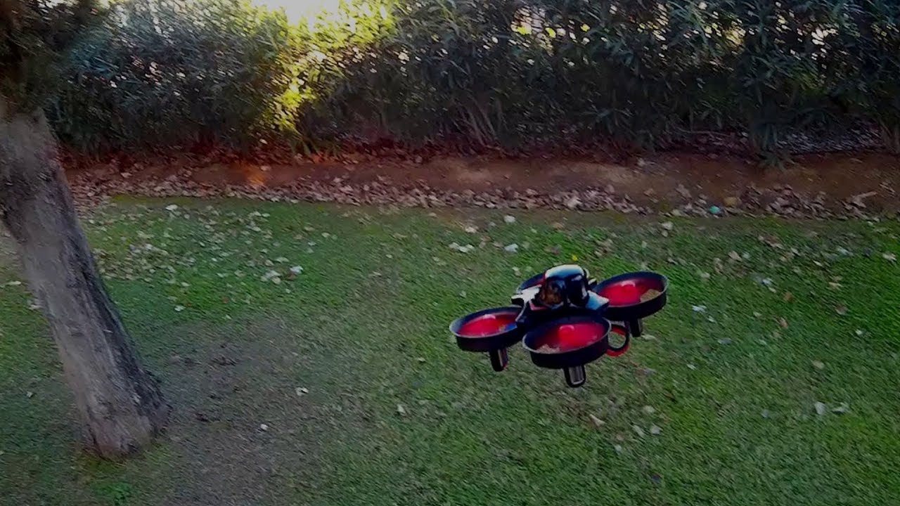 Flight of the RedPawz R010 quadcopter