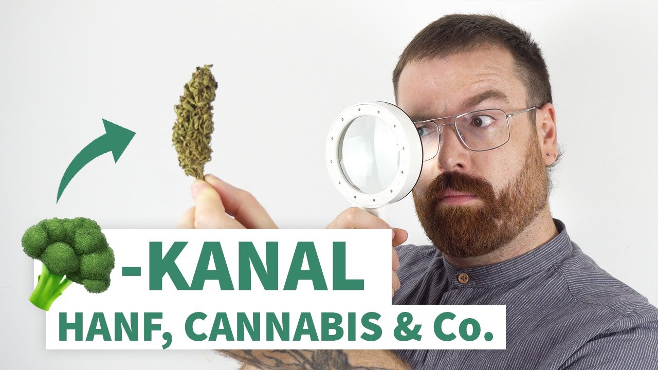 HANF, CANNABIS & Co.! 🥦 Dein Kanal f&uuml;r Wissenswertes zu deinem Lieblingsgem&uuml;se 🥦 - DER G&Auml;RTNER