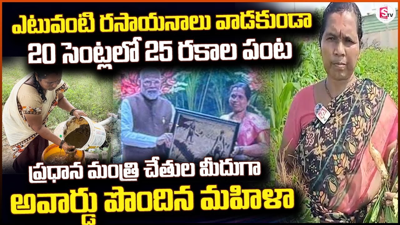 ఎటువంటి రసాయనాలు వాడకుండా 20 సెంట్లలో 25 రకాల పంట | ATM Cultivation | Women Farmer | Anantapur
