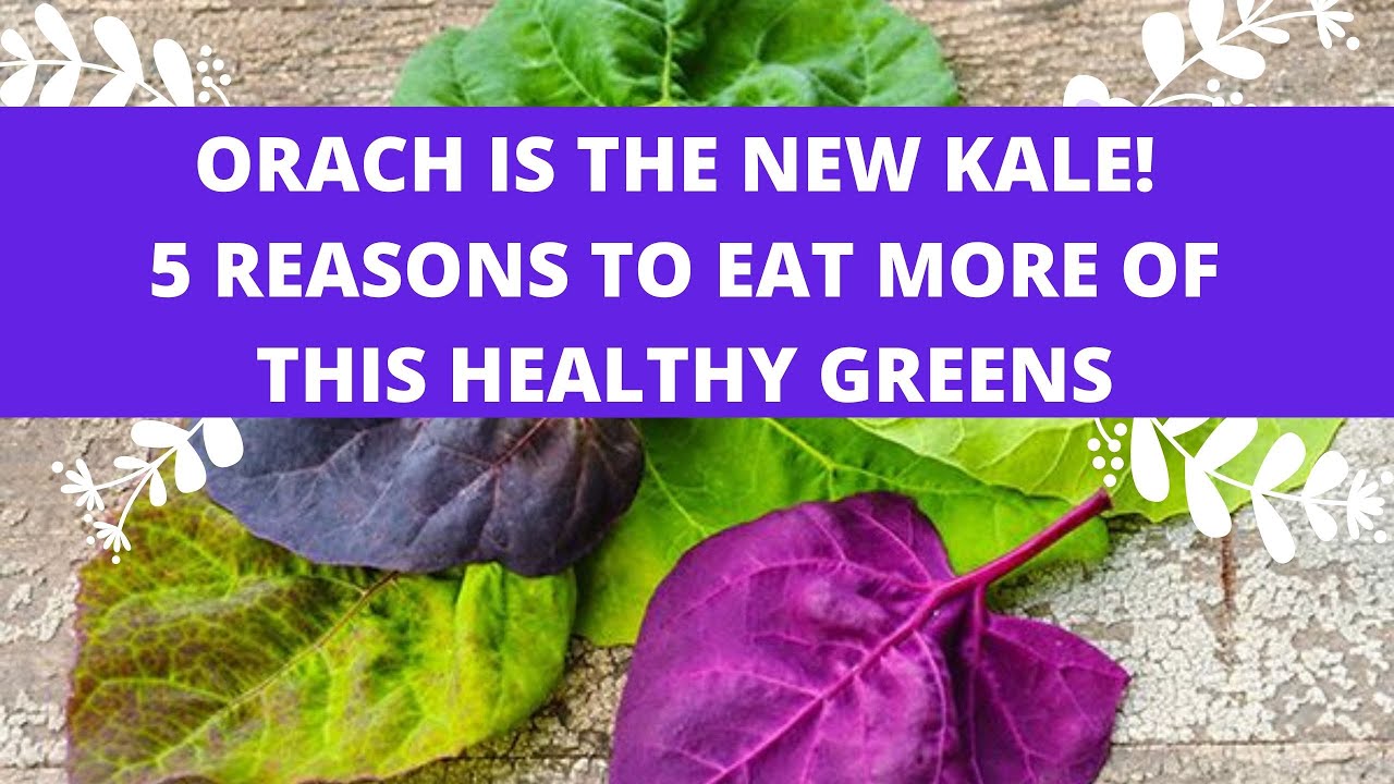 ORACH IS THE NEW KALE -5 REASONS TO EAT MORE OF THIS HEALTHY GREENS