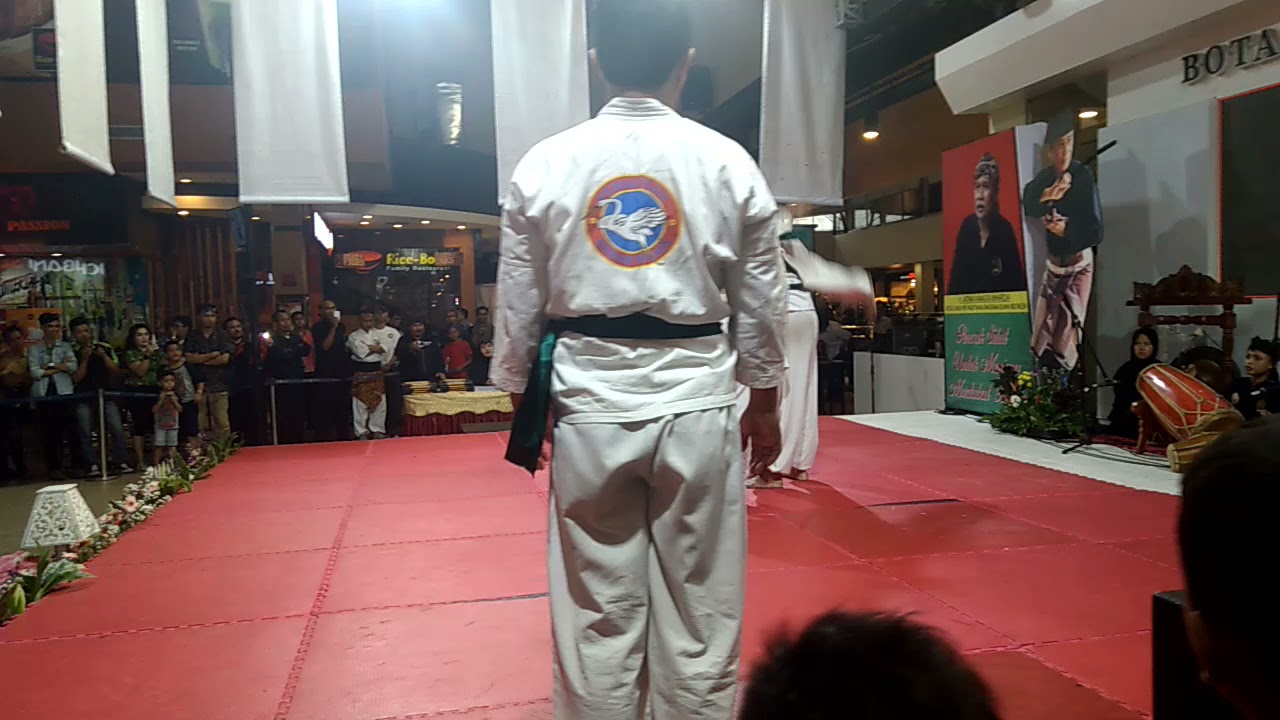 Demo of 1 PGB Bangau Putih / White Crane Movement @ Botani Square