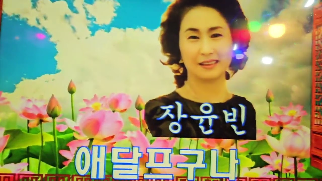 가수 장윤빈 메들리 (추억의소야곡☆울리는경부선) 금요모임