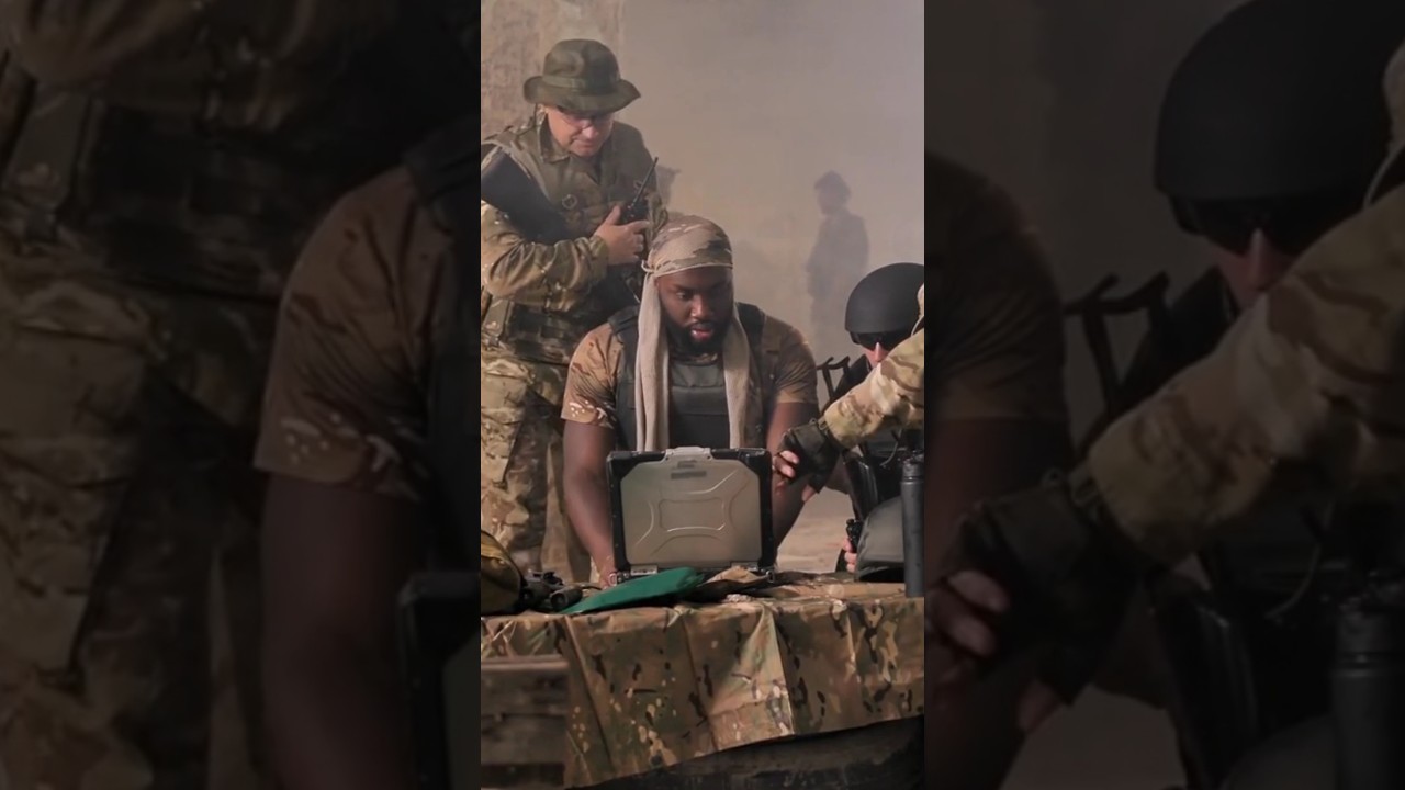 American navy dolphins | US navy animals