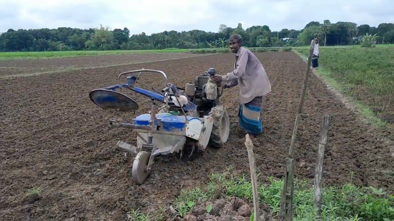 ছোট ট্রাক্টর দিয়ে জমি চাষ 