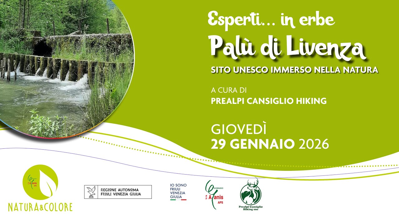 Palù di Livenza: sito UNESCO immerso nella natura // Esperti in erbe 2026