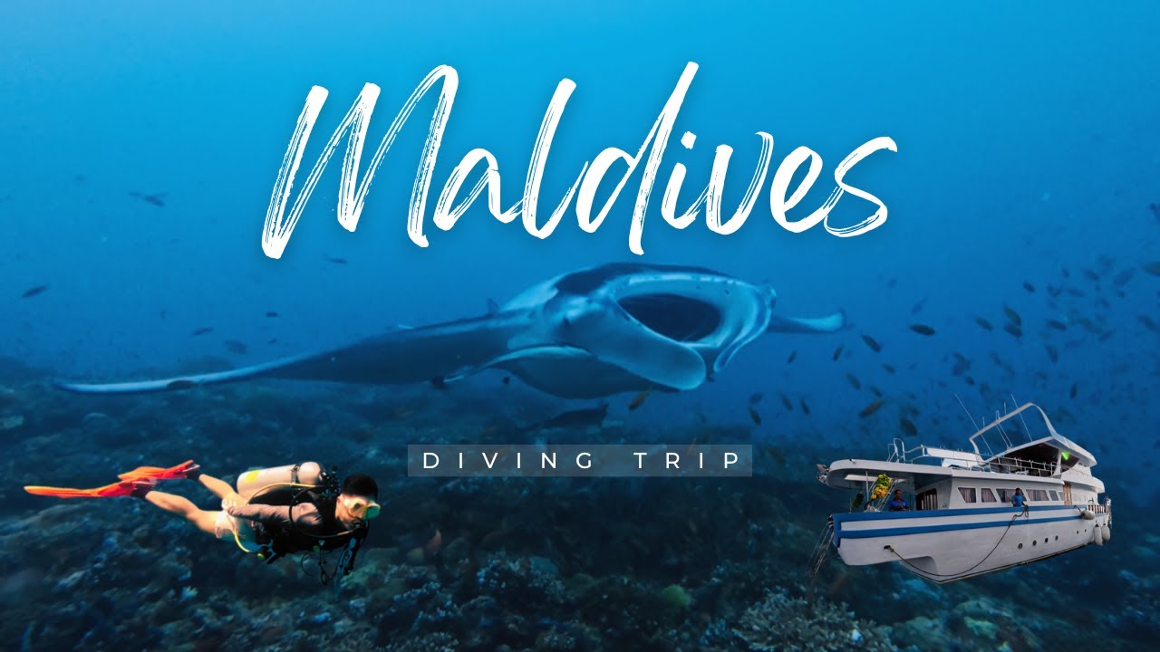 Maldives Liveaboard Diving | Manta Rays & Sharks Aboard the Mantiri