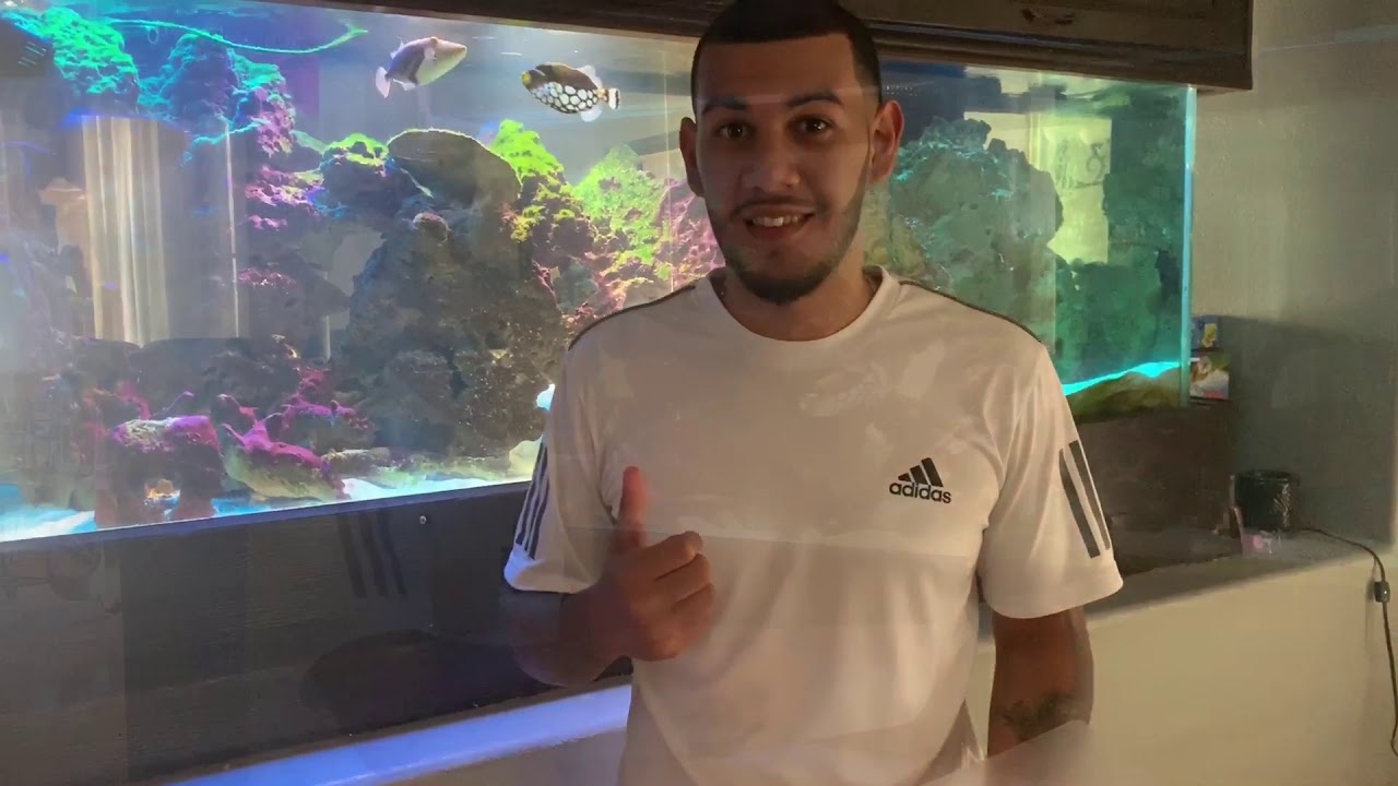 My 180 Gallon Predator Saltwater Aquarium!