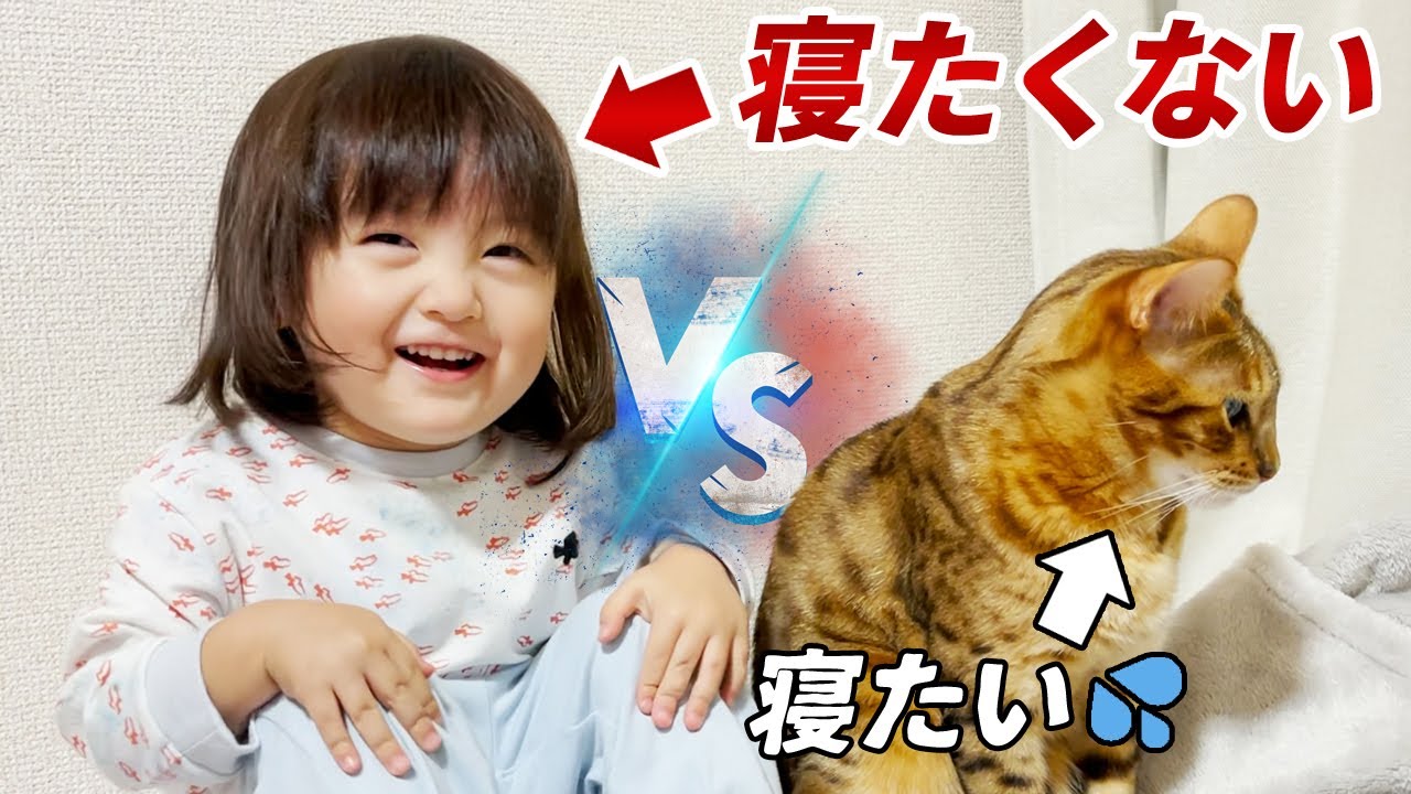 もう寝たい猫 vs まだ寝たくない2歳娘