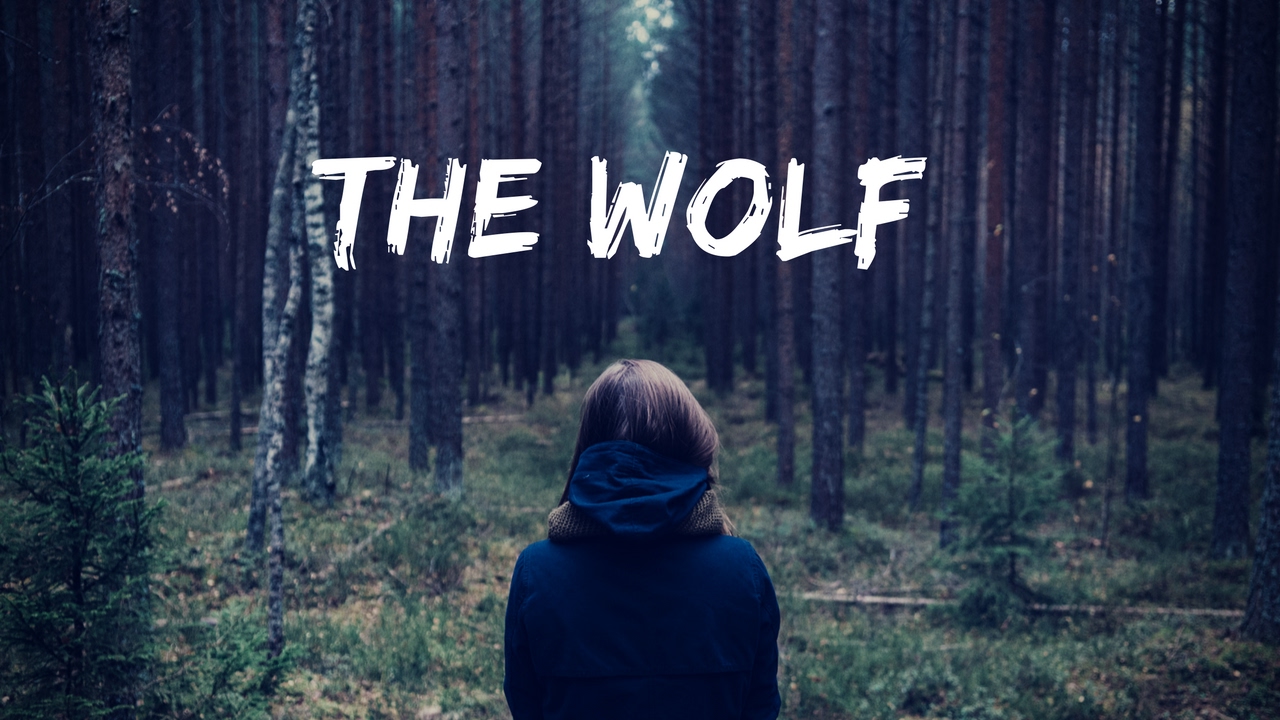 My Wolf  /trailer français /Wattpad
