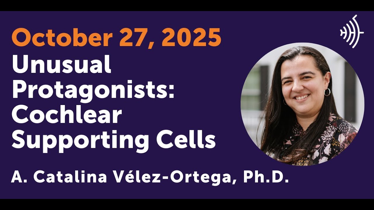 Unusual Protagonists: Cochlear Supporting Cells